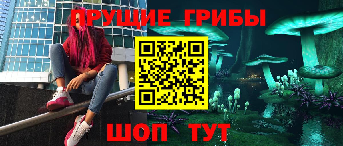 Искитим  что такое наркотик  Вход с VPN  Псилоцибиновые грибы MAGIC MUSHROOMS  Галлюциногенные грибы мицелий 